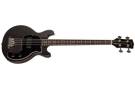 Gibson Les Paul Junior Tribute DC Bass - Worn Ebony