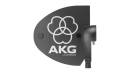 AKG Antenne active directionnelle